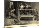 Wood Mount