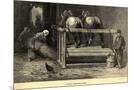 Wood Mount