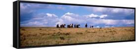Horses on a Landscape, East Glacier Park, Glacier County, Montana, USA-null-Framed Stretched Canvas