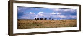 Horses on a Landscape, East Glacier Park, Glacier County, Montana, USA-null-Framed Photographic Print