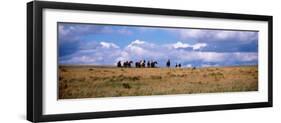 Horses on a Landscape, East Glacier Park, Glacier County, Montana, USA-null-Framed Photographic Print