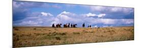 Horses on a Landscape, East Glacier Park, Glacier County, Montana, USA-null-Mounted Photographic Print