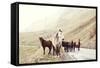 Horses on A Road-Maria Komar-Framed Stretched Canvas