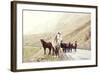 Horses on A Road-Maria Komar-Framed Photographic Print