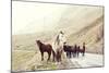 Horses on A Road-Maria Komar-Mounted Photographic Print