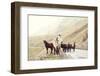 Horses on A Road-Maria Komar-Framed Photographic Print