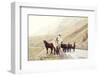 Horses on A Road-Maria Komar-Framed Photographic Print