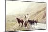 Horses on A Road-Maria Komar-Mounted Photographic Print