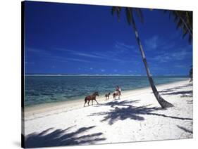 Horses on Beach, Tambua Sands Resort, Coral Coast, Fiji-David Wall-Stretched Canvas