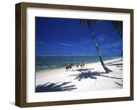 Horses on Beach, Tambua Sands Resort, Coral Coast, Fiji-David Wall-Framed Premium Photographic Print