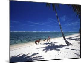Horses on Beach, Tambua Sands Resort, Coral Coast, Fiji-David Wall-Mounted Premium Photographic Print