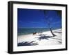 Horses on Beach, Tambua Sands Resort, Coral Coast, Fiji-David Wall-Framed Photographic Print