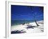 Horses on Beach, Tambua Sands Resort, Coral Coast, Fiji-David Wall-Framed Photographic Print