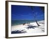 Horses on Beach, Tambua Sands Resort, Coral Coast, Fiji-David Wall-Framed Photographic Print