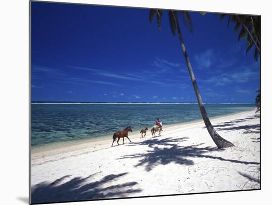 Horses on Beach, Tambua Sands Resort, Coral Coast, Fiji-David Wall-Mounted Photographic Print