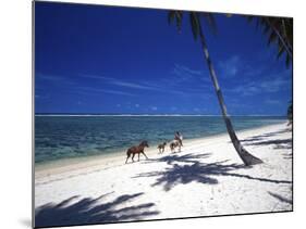 Horses on Beach, Tambua Sands Resort, Coral Coast, Fiji-David Wall-Mounted Photographic Print