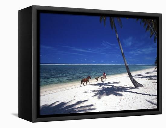Horses on Beach, Tambua Sands Resort, Coral Coast, Fiji-David Wall-Framed Stretched Canvas