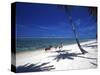 Horses on Beach, Tambua Sands Resort, Coral Coast, Fiji-David Wall-Stretched Canvas