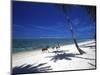 Horses on Beach, Tambua Sands Resort, Coral Coast, Fiji-David Wall-Mounted Photographic Print