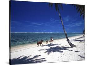 Horses on Beach, Tambua Sands Resort, Coral Coast, Fiji-David Wall-Stretched Canvas