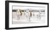 Horses on the Beach (detail)-Zero Creative Studio-Framed Art Print