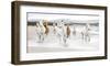 Horses on the Beach (detail)-Zero Creative Studio-Framed Art Print