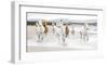 Horses on the Beach (detail)-Zero Creative Studio-Framed Art Print