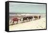 Horses on the Beach-Kathy Mansfield-Framed Stretched Canvas