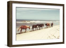 Horses on the Beach-Kathy Mansfield-Framed Photographic Print