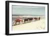 Horses on the Beach-Kathy Mansfield-Framed Photographic Print