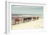 Horses on the Beach-Kathy Mansfield-Framed Photographic Print