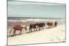 Horses on the Beach-Kathy Mansfield-Mounted Photographic Print