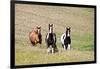 Horses on the Hill Side-Terry Eggers-Framed Photographic Print