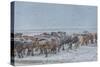 Horses outside during a Snowstorm.-Arctic-Images-Stretched Canvas