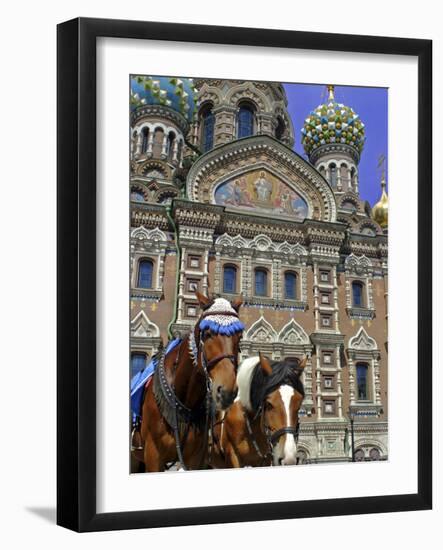 Horses Outside of the Church of the Spilled Blood, St. Petersburg, Russia-Kymri Wilt-Framed Photographic Print