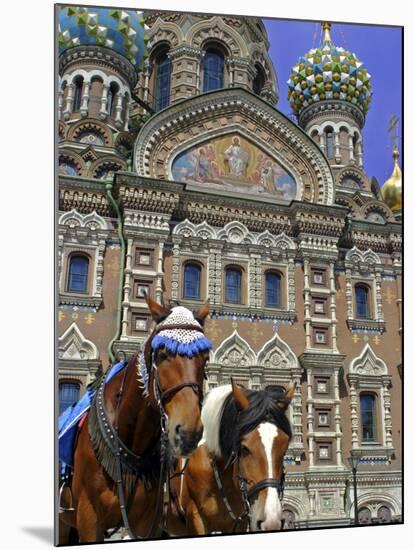 Horses Outside of the Church of the Spilled Blood, St. Petersburg, Russia-Kymri Wilt-Mounted Photographic Print