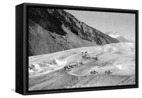 Horses Packing Silver Ore across Glacier-H.H. Ives-Framed Stretched Canvas