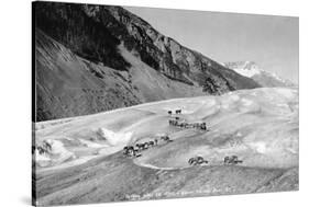 Horses Packing Silver Ore across Glacier-H.H. Ives-Stretched Canvas