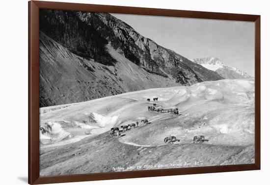 Horses Packing Silver Ore across Glacier-H.H. Ives-Framed Photographic Print