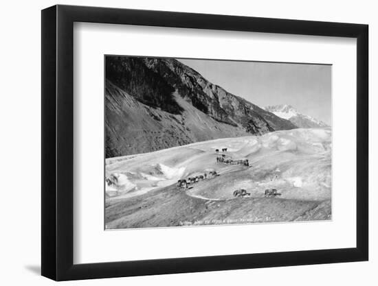 Horses Packing Silver Ore across Glacier-H.H. Ives-Framed Photographic Print