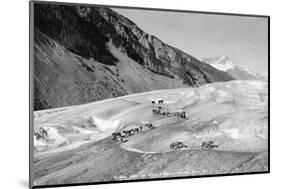 Horses Packing Silver Ore across Glacier-H.H. Ives-Mounted Photographic Print