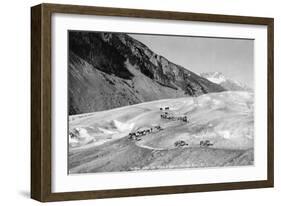 Horses Packing Silver Ore across Glacier-H.H. Ives-Framed Photographic Print