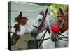 Horses Paraded Before the Race, Saratoga Springs, New York, USA-Lisa S. Engelbrecht-Stretched Canvas
