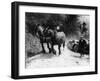 Horses Pulling an MG Up a Hill, C1936-null-Framed Photographic Print