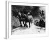 Horses Pulling an MG Up a Hill, C1936-null-Framed Photographic Print