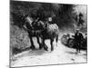 Horses Pulling an MG Up a Hill, C1936-null-Mounted Photographic Print