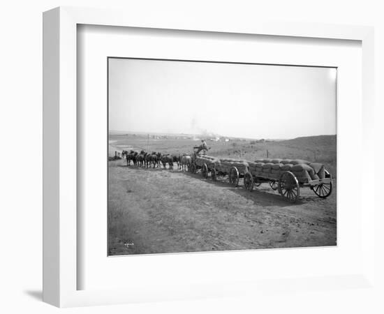 Horses Pulling Wheat Wagons, 1915-Ashael Curtis-Framed Giclee Print