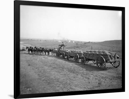 Horses Pulling Wheat Wagons, 1915-Ashael Curtis-Framed Giclee Print