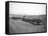 Horses Pulling Wheat Wagons, 1915-Ashael Curtis-Framed Stretched Canvas