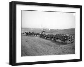 Horses Pulling Wheat Wagons, 1915-Ashael Curtis-Framed Giclee Print